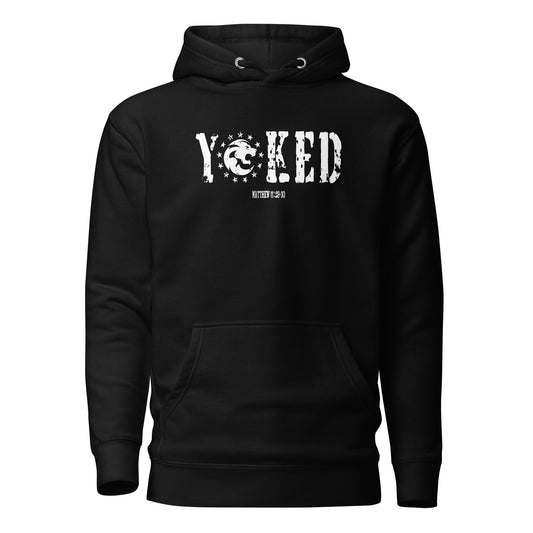Yoked Distressed Style  Hoodie